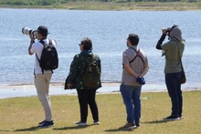 Cali fortaleció su posicionamiento internacional en aviturismo durante la Feria de Aves de Sudamérica en Paraguay