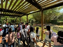 Niños de Altos de Santa Elena vivieron una alegre jornada en el Zoológico de Cali