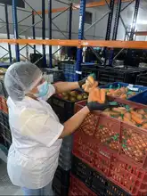 Secretaría de Educación acompaña la entrega de la Canasta PAE en Casa para garantizar una alimentación de calidad a estudiantes