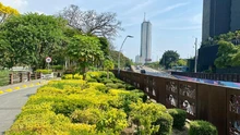 Smart City Expo Cali 2026 destacará la renovación urbana del centro de Cali