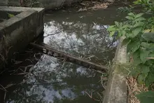 Dagma hace seguimiento permanente a humedales públicos, ante disminución del espejo de agua por Fenómeno de El Niño