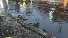 ¿Por qué está lloviendo en Cali en medio del fenómeno de El Niño?