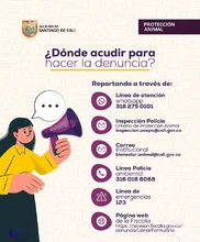 Protección Animal rescata un canino en condiciones de vulnerabilidad