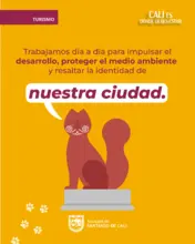 Información para niños, niñas y adoIescentes