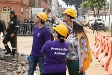 Alcaldía de Cali avanza en la renovación urbana de Ciudad Paraíso con nuevas demoliciones