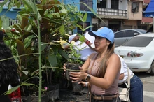 ‘Sembratón’ en el Obrero: espacios públicos más verdes para la comunidad