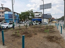 ‘Sembratón’ en el Obrero: espacios públicos más verdes para la comunidad