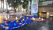 Paz y Cultura Ciudadana participa en la ‘Feria Internacional del Libro Cali 2026’