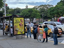 ¿Va a hacer un evento o promocionar su marca en Cali? Estos son los permisos que debe conocer