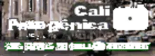 banner califotogenica