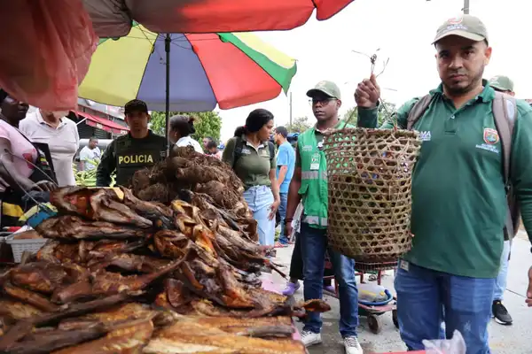 Golpe al trágico de fauna silvestre en La Casona