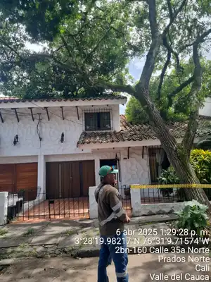Más de 20 emergencias por volcamiento de árboles en Cali han sido atendidas por el Dagma