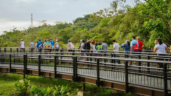 Pance vuelve a ser escenario de bienestar con la caminata del Parque de la Biodiversidad COP16