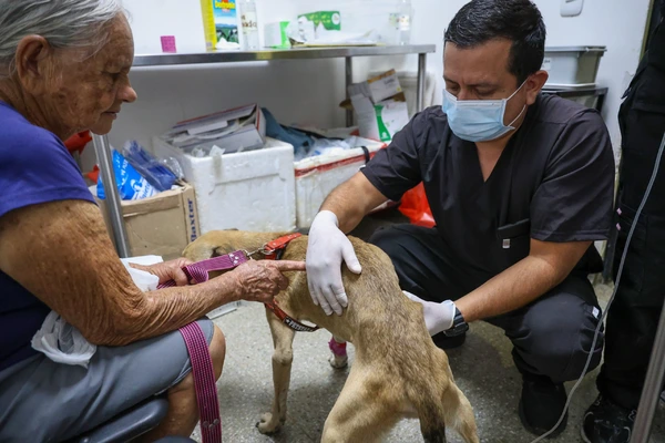 ¡Ojo! El moquillo puede matar a nuestros perros: no olvide mantener sus vacunas y refuerzos al día