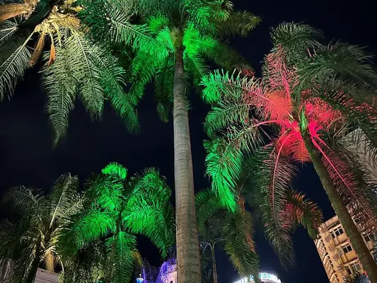 Cali celebra 490 años con una ciudad más limpia, iluminada y llena de experiencias para disfrutar en familia
