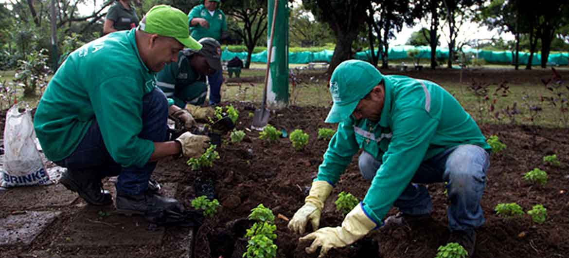 Jardines Jardines