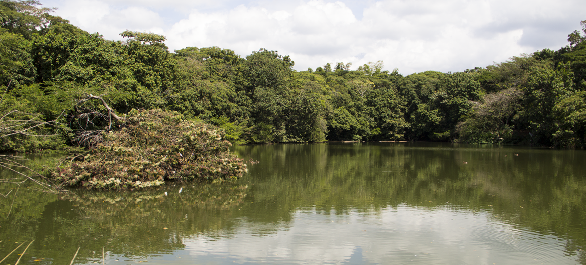 Ecoparque Lago de las Garzas