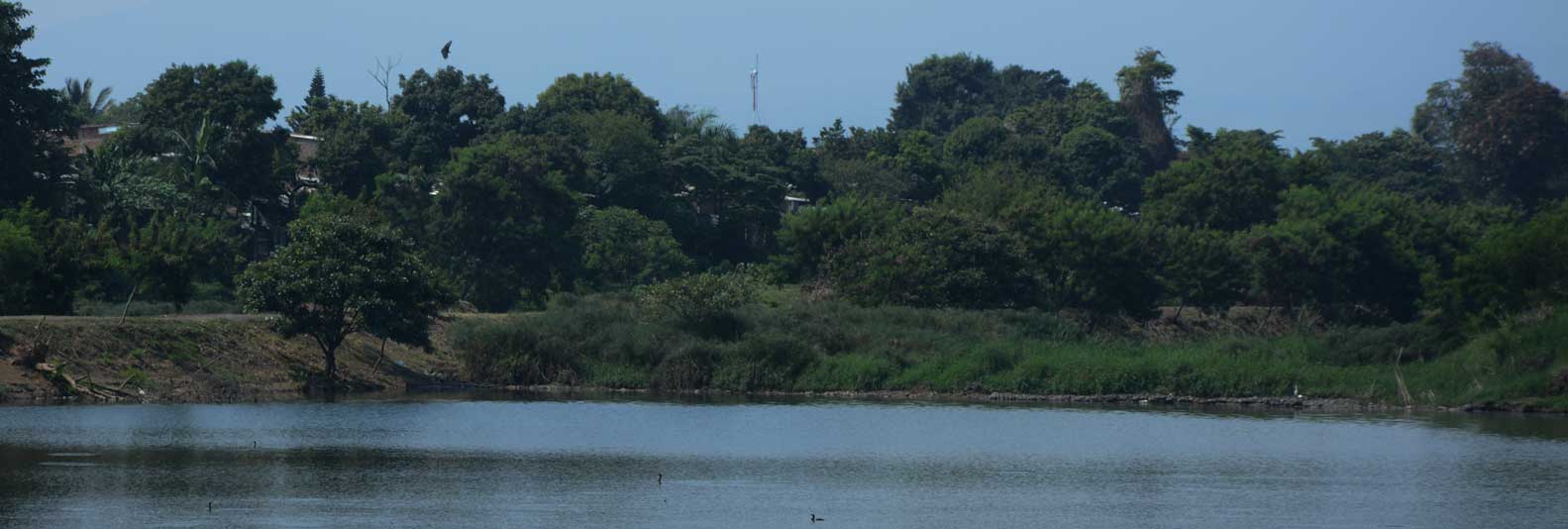 Charco azul 2