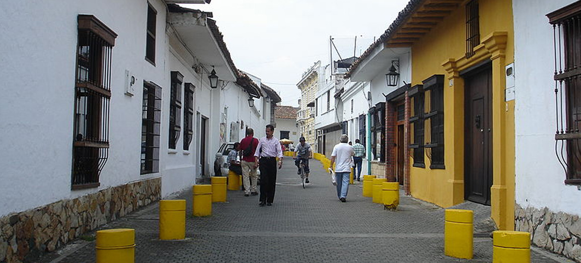 Patos