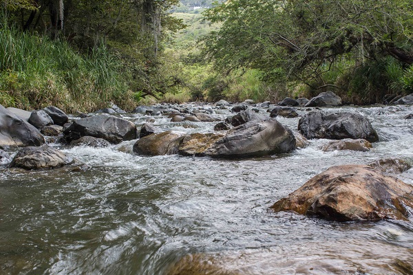 Río Cali Río Cali