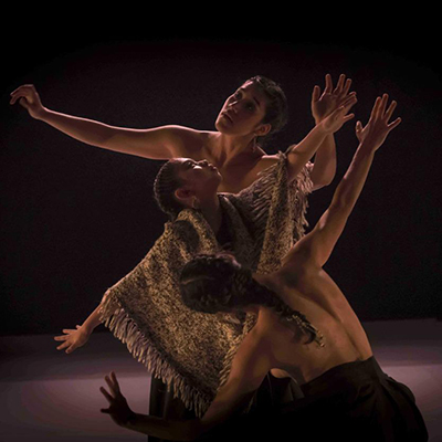 Bienal Danza