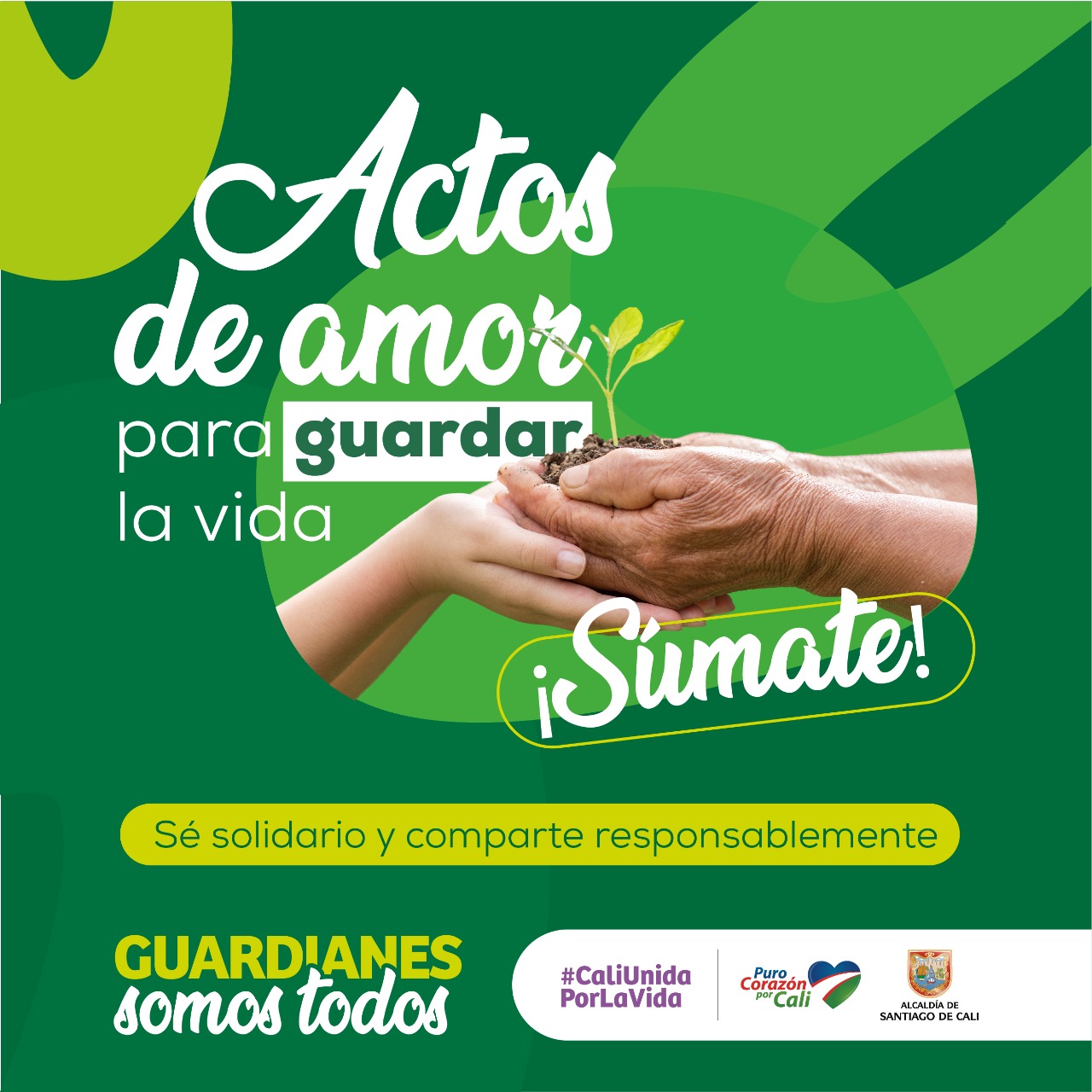 Alcaldía de Cali lanza campaña: ‘Actos de amor para guardar la vida’ Alcaldía de Cali lanza campaña: ‘Actos de amor para guardar la vida’