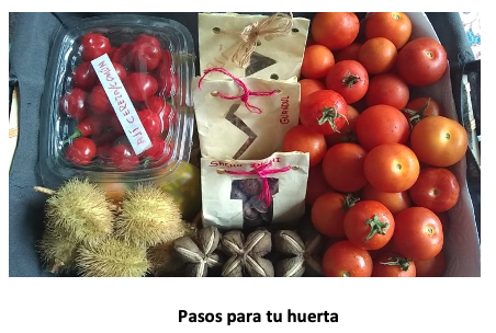 Huerta en casa, una alternativa de agricultura Urbana Huerta en casa, una alternativa de agricultura Urbana