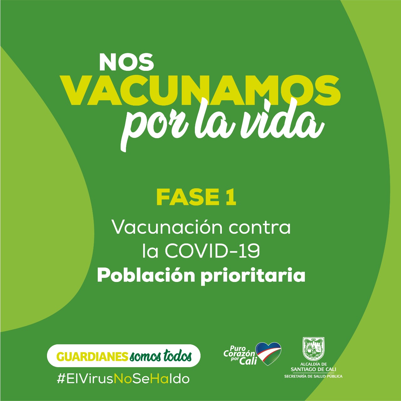 FASE 1