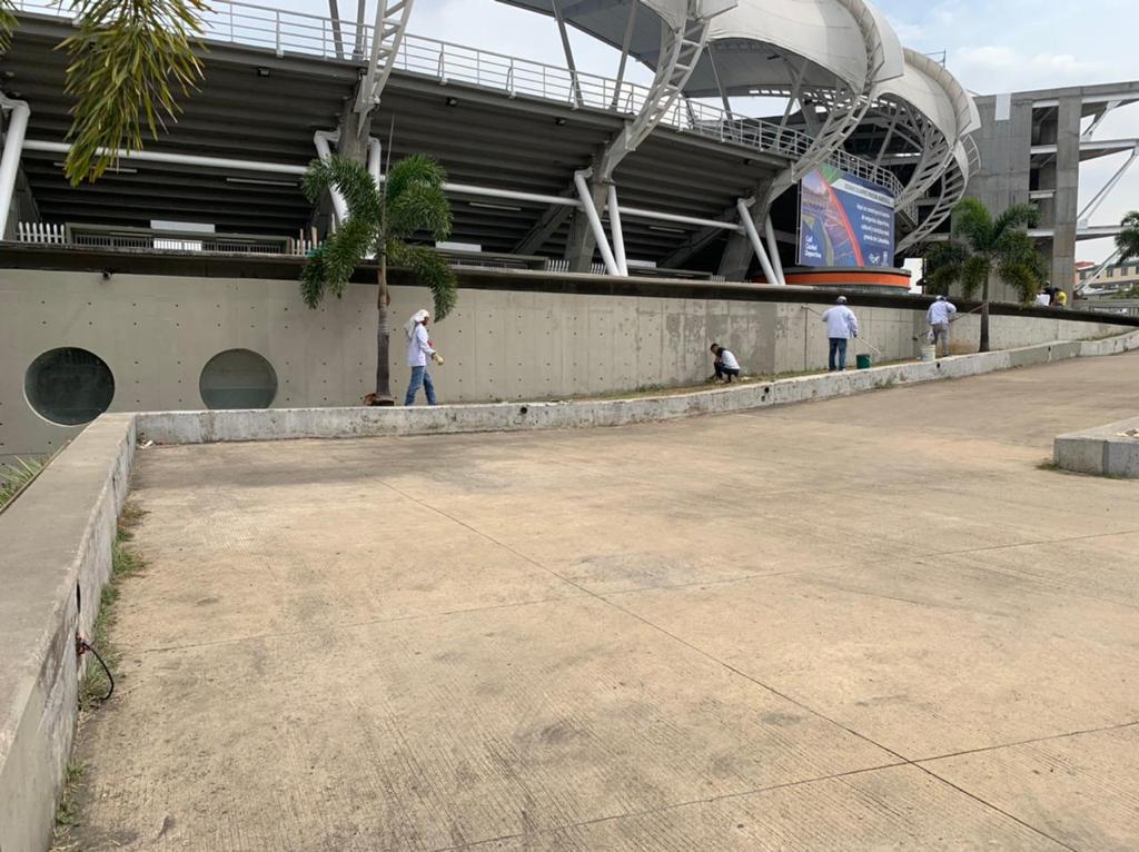 imagen1