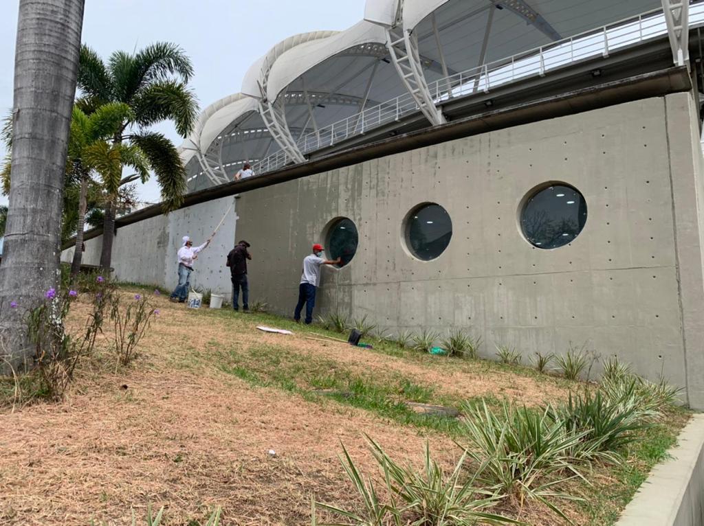 estadio