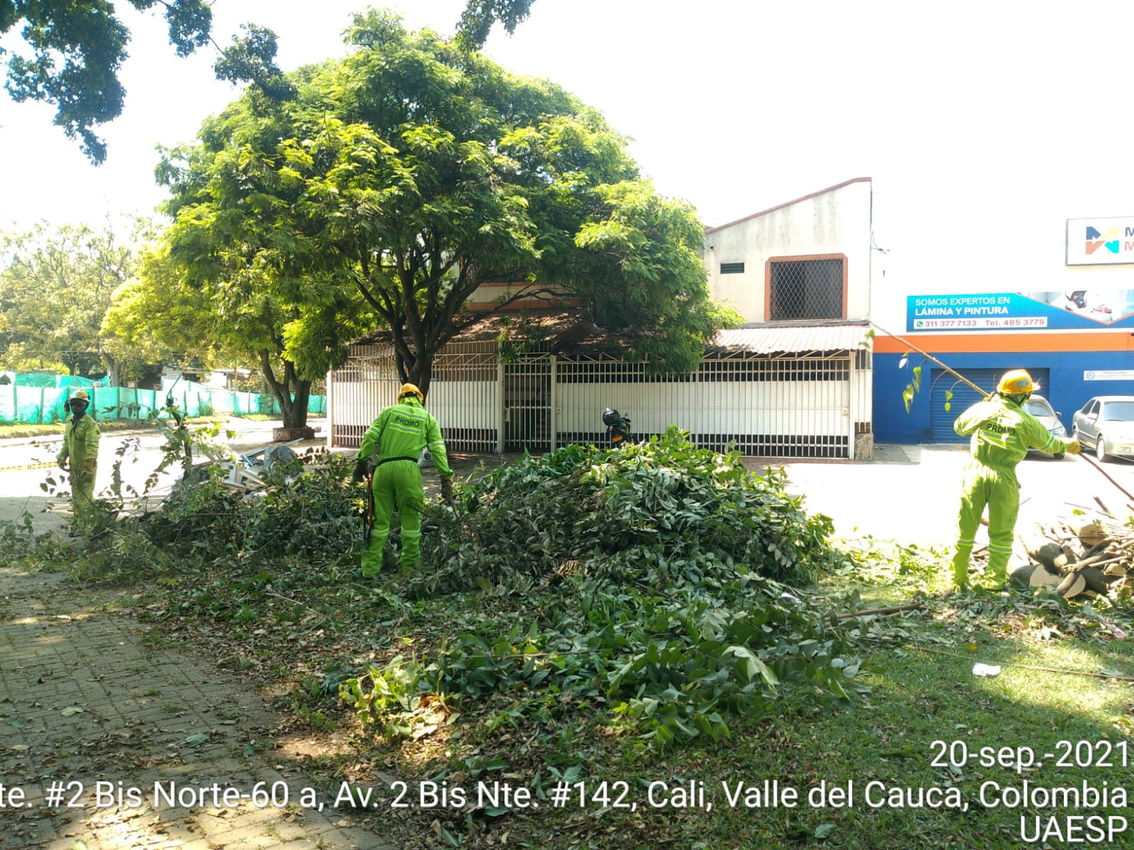 imagen2