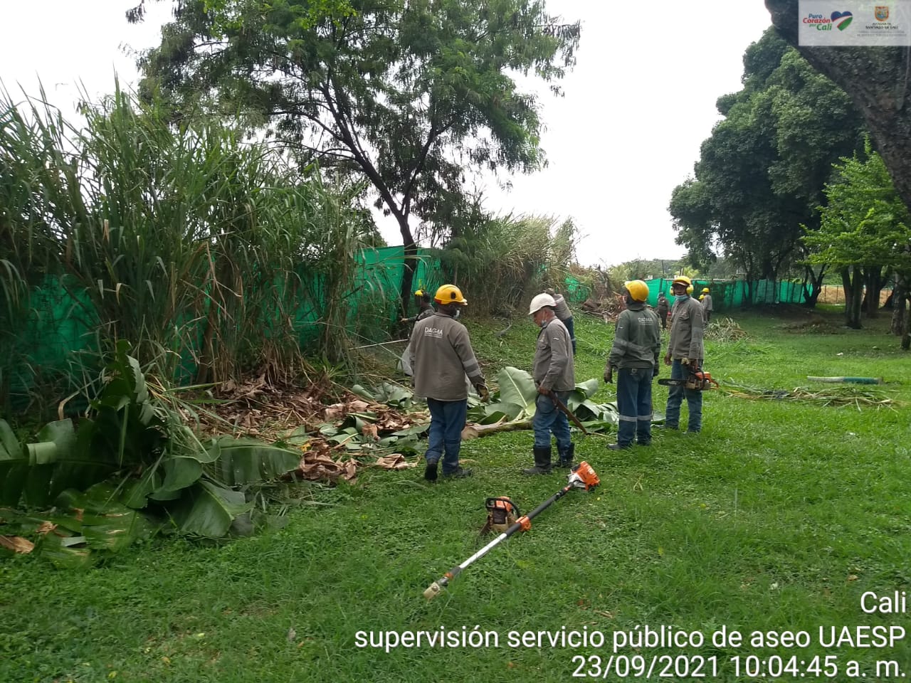 imagen2