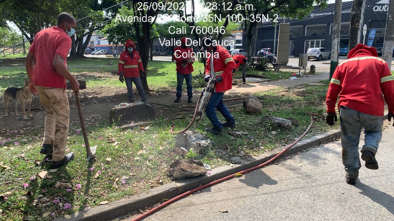 imagen2