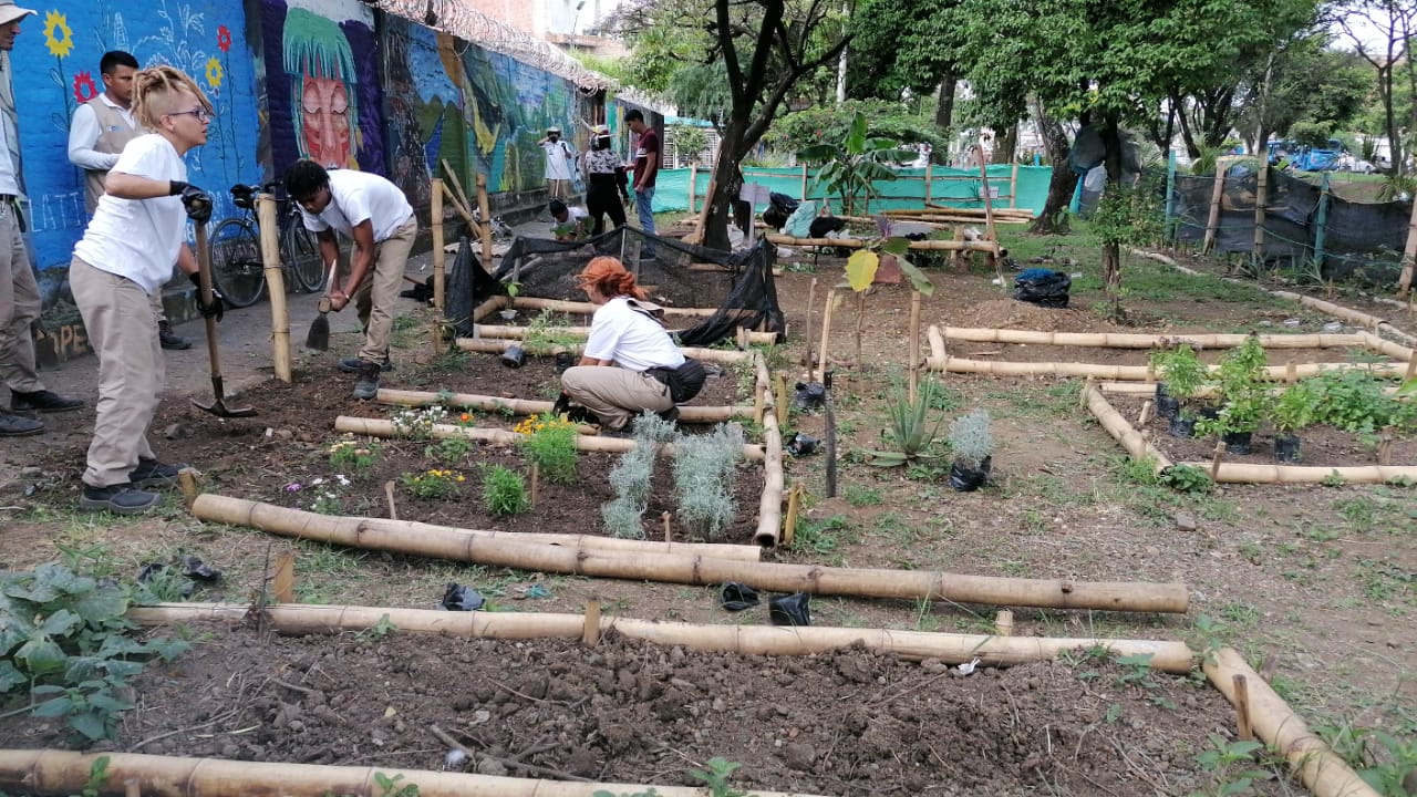 imagen2