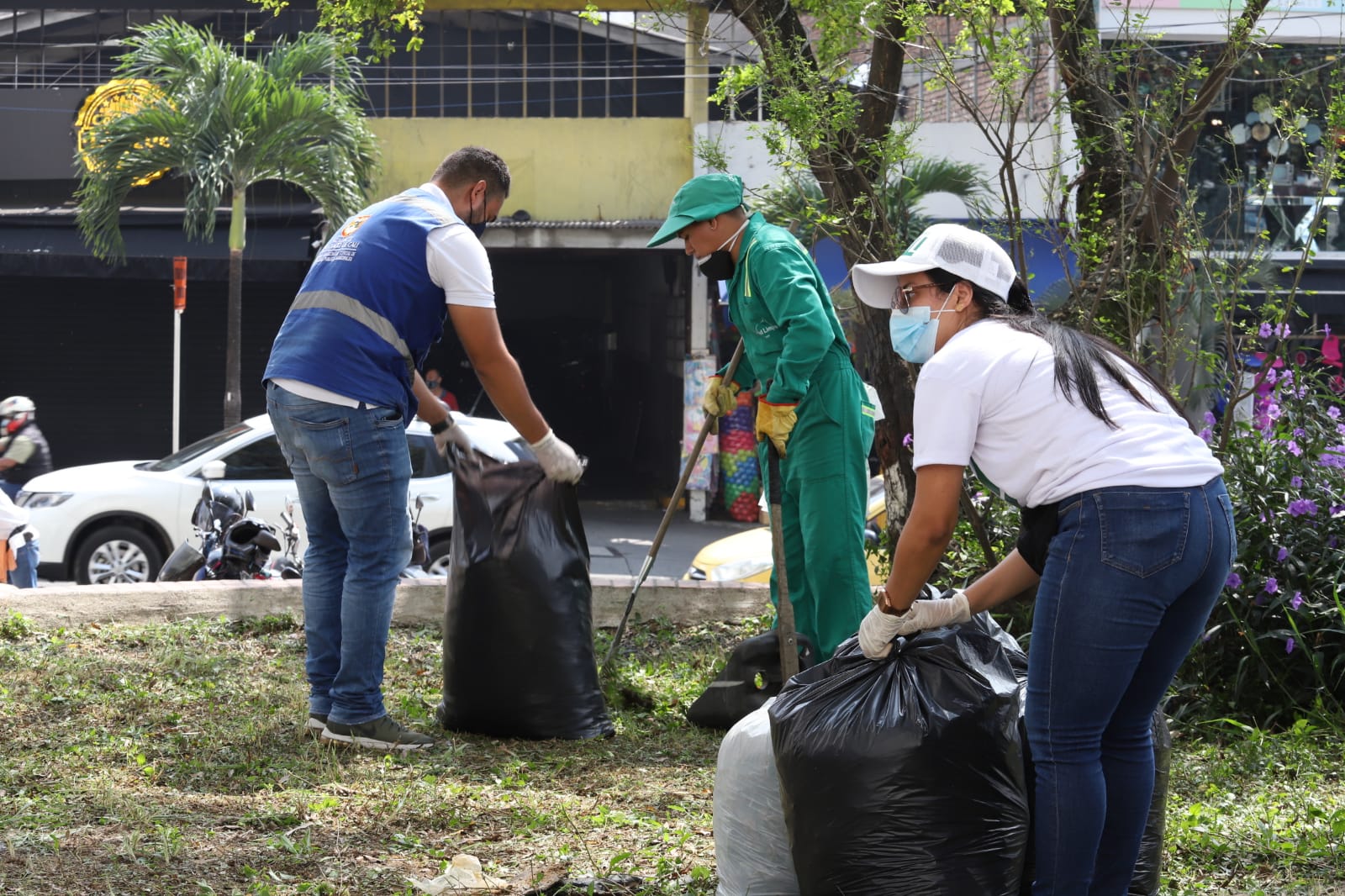 imagen2
