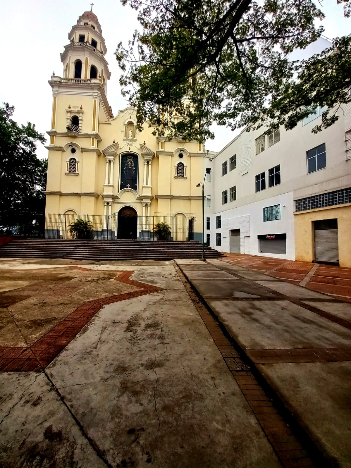 imagen1