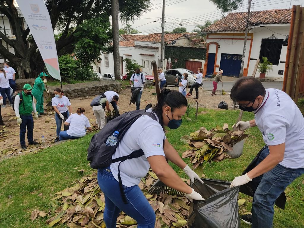 imagen2
