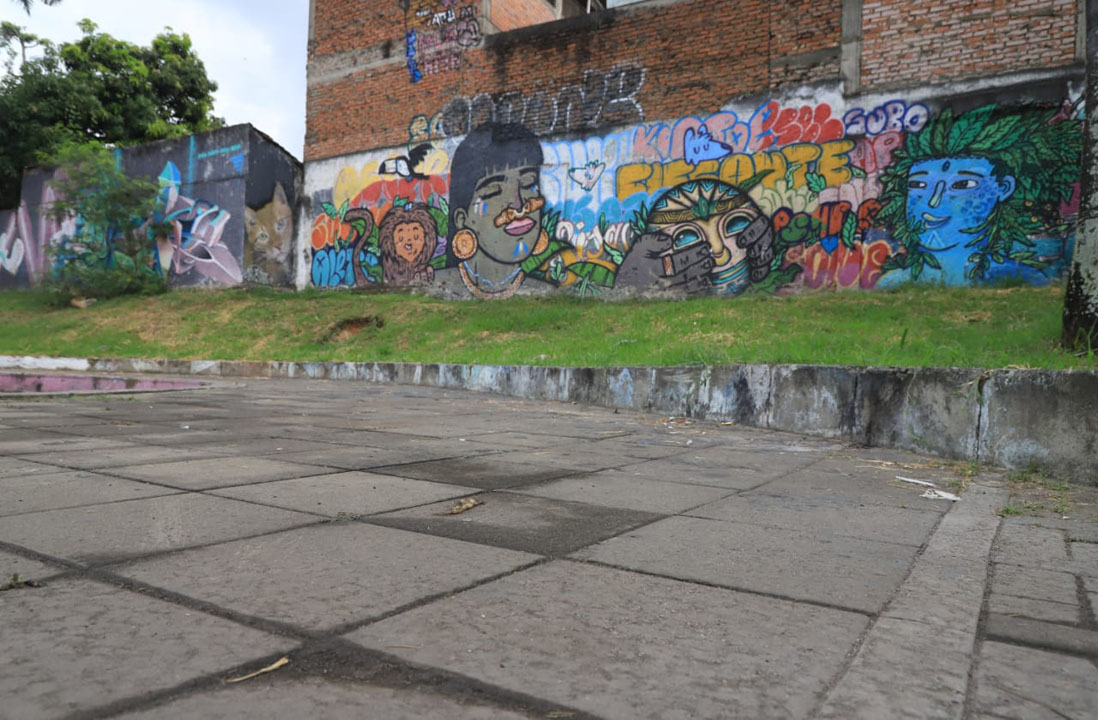 imagen2