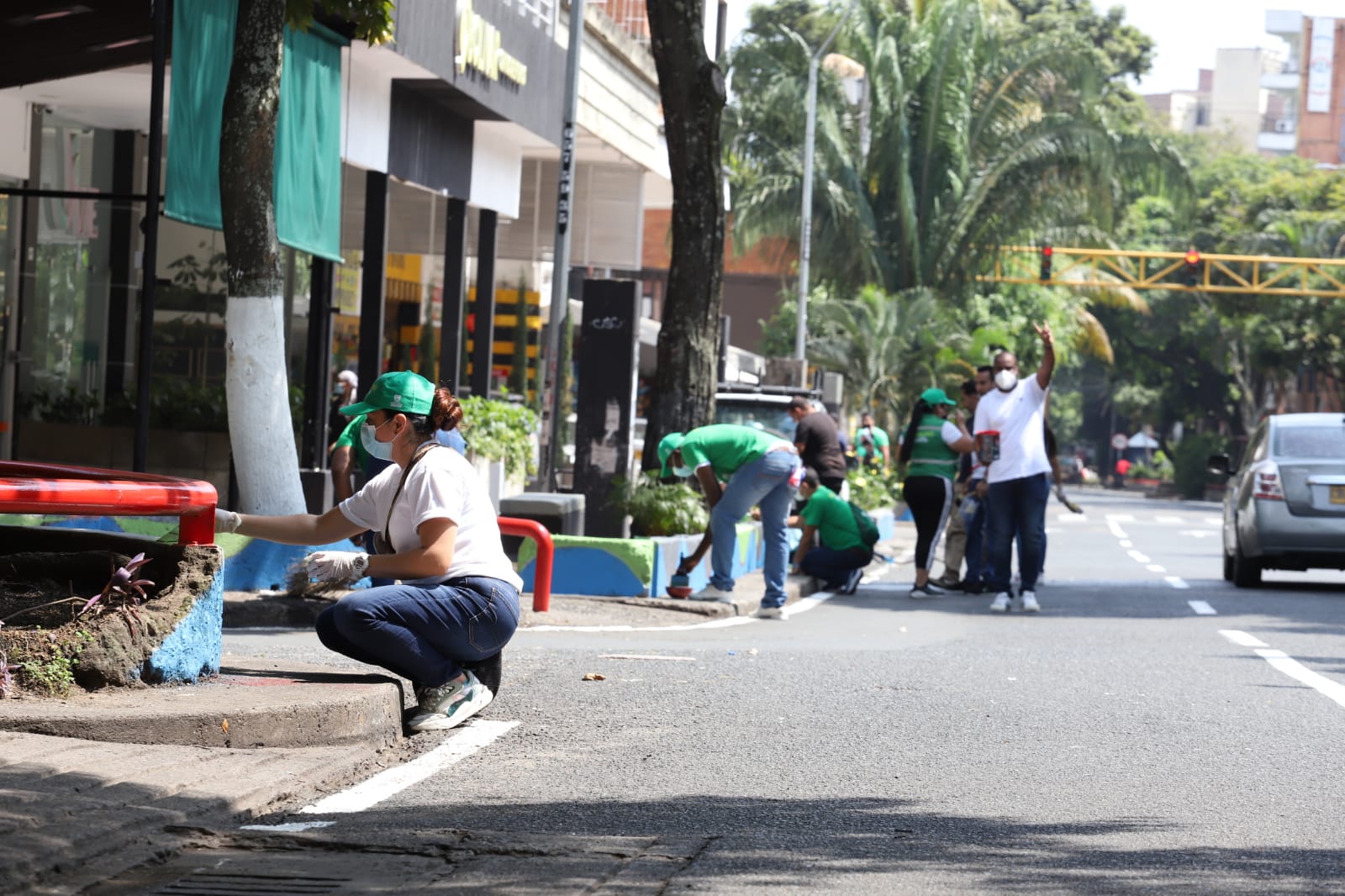 imagen1
