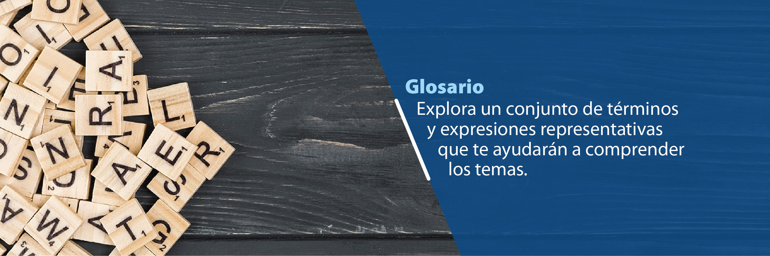 Glosario
