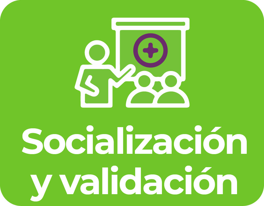socialización y validación del modelo