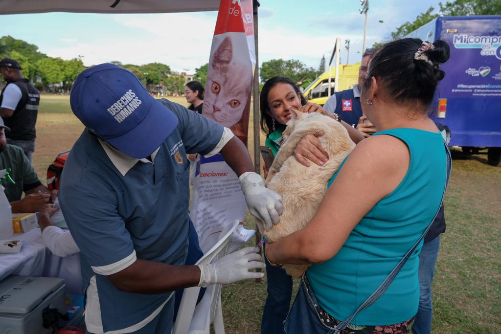 En el ‘día mundial contra la rabia’, Cali reporta silencio epidemiológico frente a esta enfermedad En el ‘día mundial contra la rabia’, Cali reporta silencio epidemiológico frente a esta enfermedad