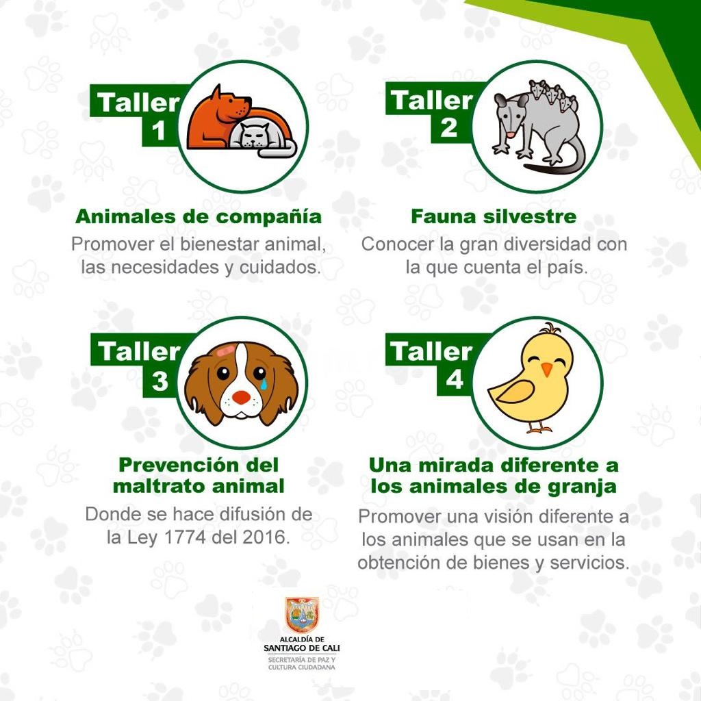 Taller Interespecie Taller Interespecie