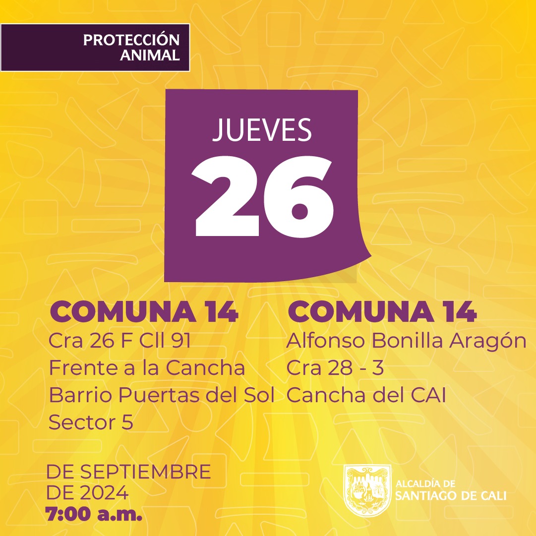 Protección Animal anuncia semana de esterilizaciones gratuitas en Cali Protección Animal anuncia semana de esterilizaciones gratuitas en Cali