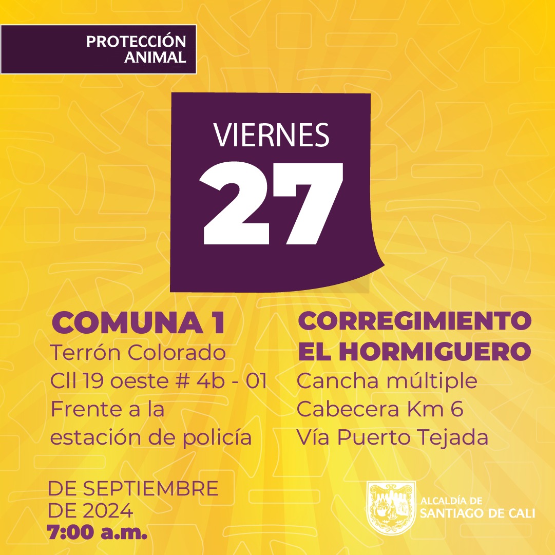 Protección Animal anuncia semana de esterilizaciones gratuitas en Cali Protección Animal anuncia semana de esterilizaciones gratuitas en Cali