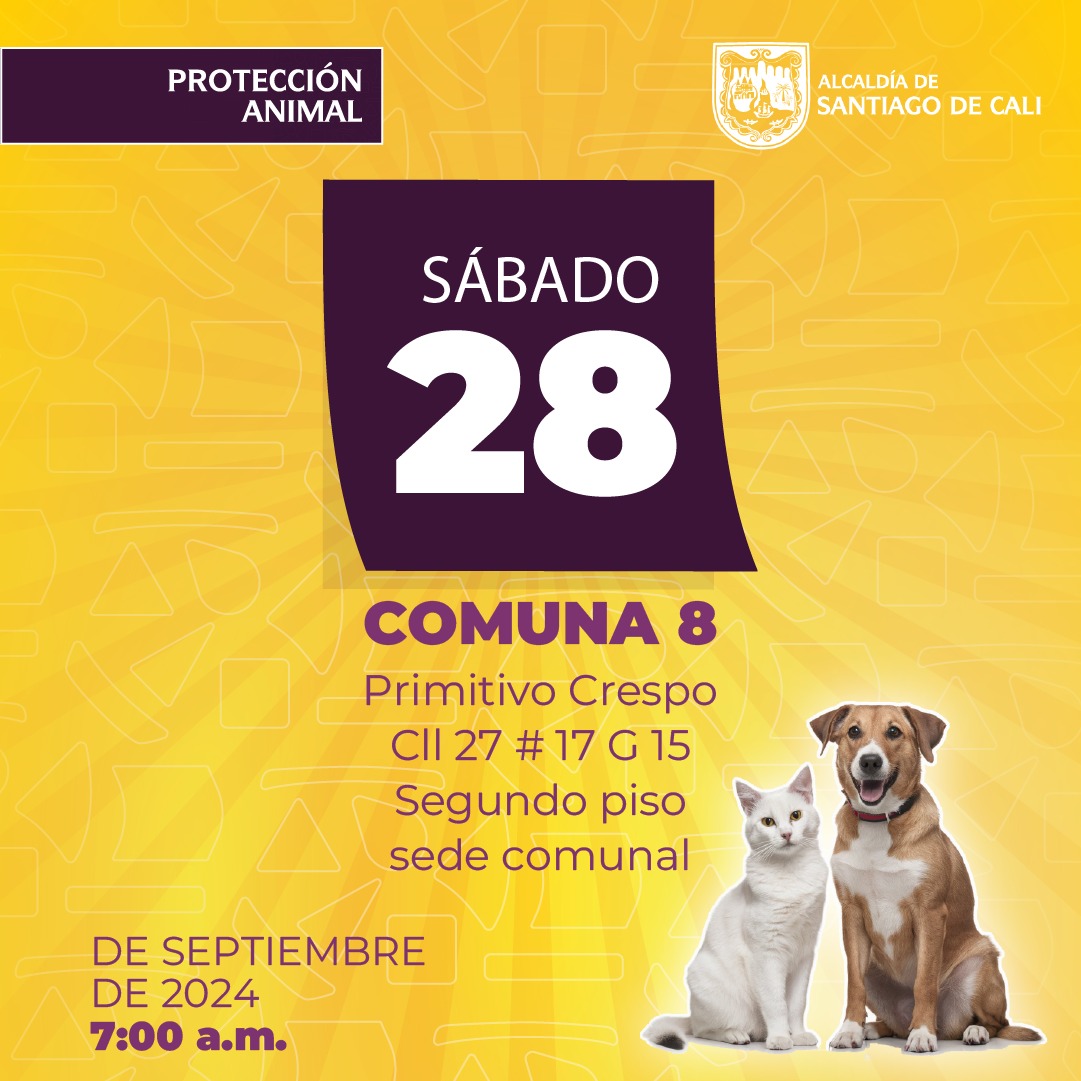 Protección Animal anuncia semana de esterilizaciones gratuitas en Cali Protección Animal anuncia semana de esterilizaciones gratuitas en Cali