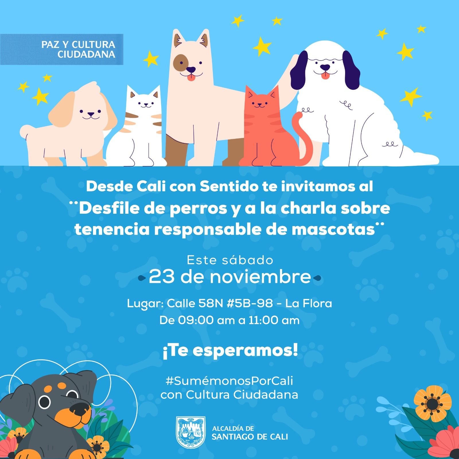 Mascotas Mascotas