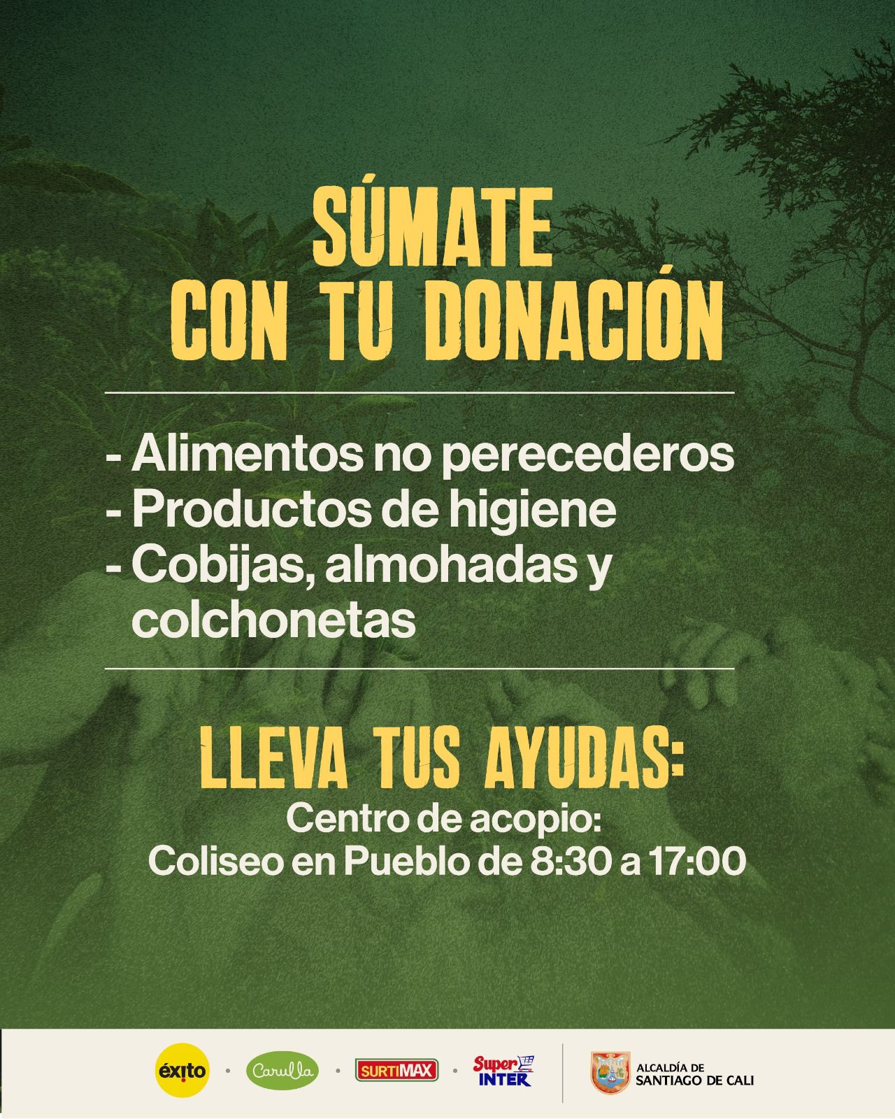 Cali se une por el Catatumbo: ¡Tu solidaridad puede cambiar vidas! Cali se une por el Catatumbo: ¡Tu solidaridad puede cambiar vidas!