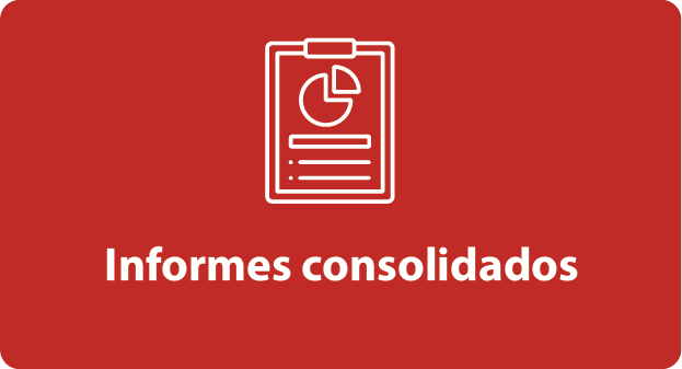 Informes Consolidades FSE