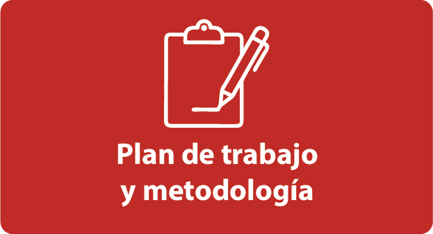 Capacitacion FSE